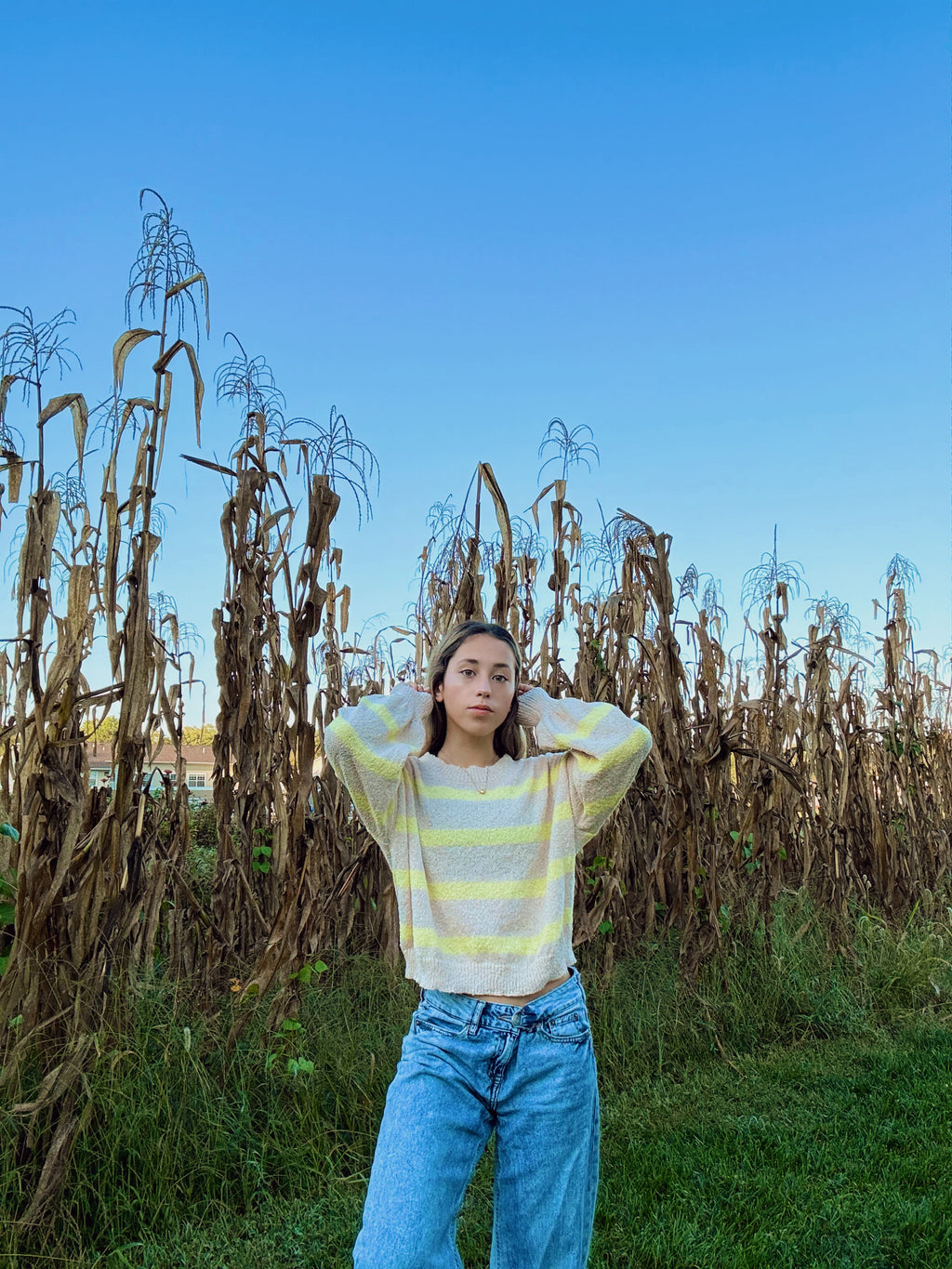 Honeyleaf Sweater