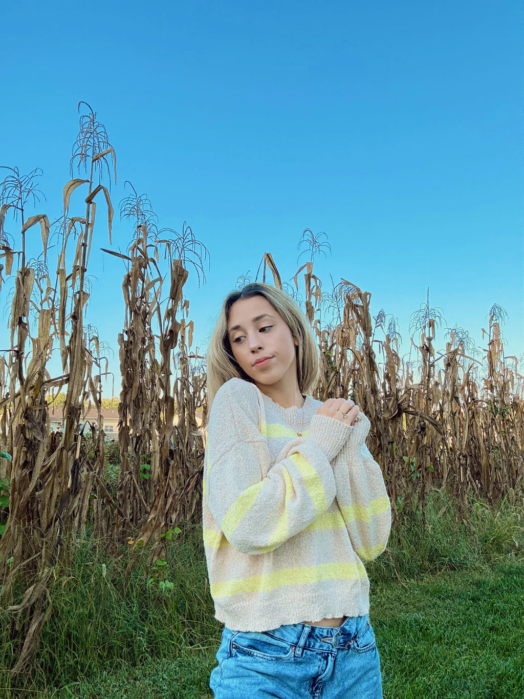 Honeyleaf Sweater