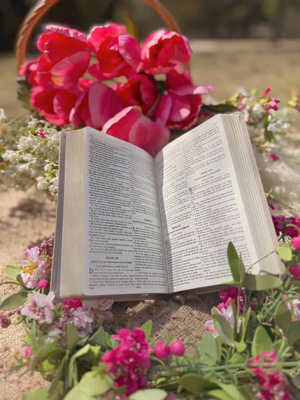 KJV Bible