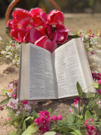 KJV Bible