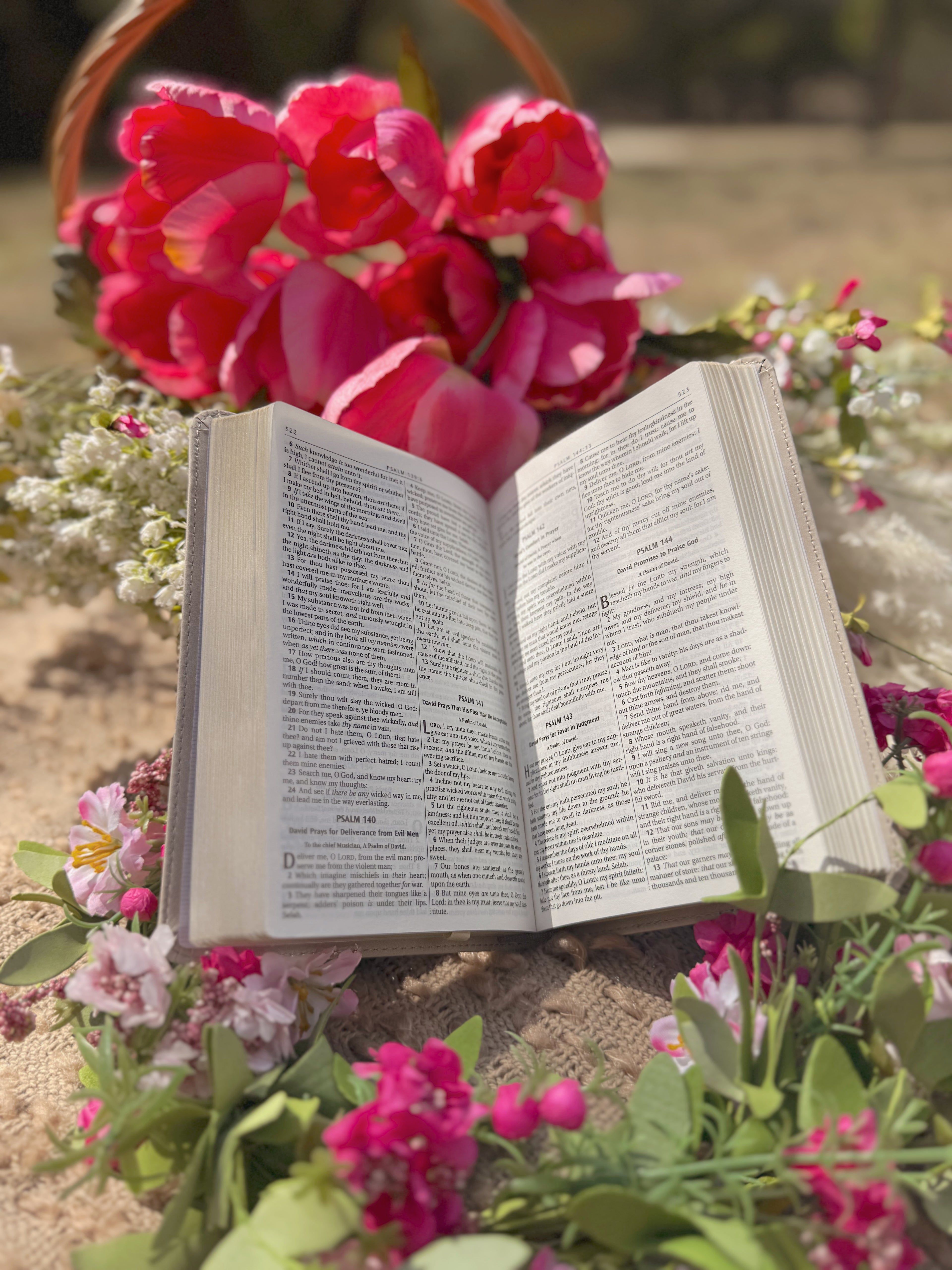 KJV Bible