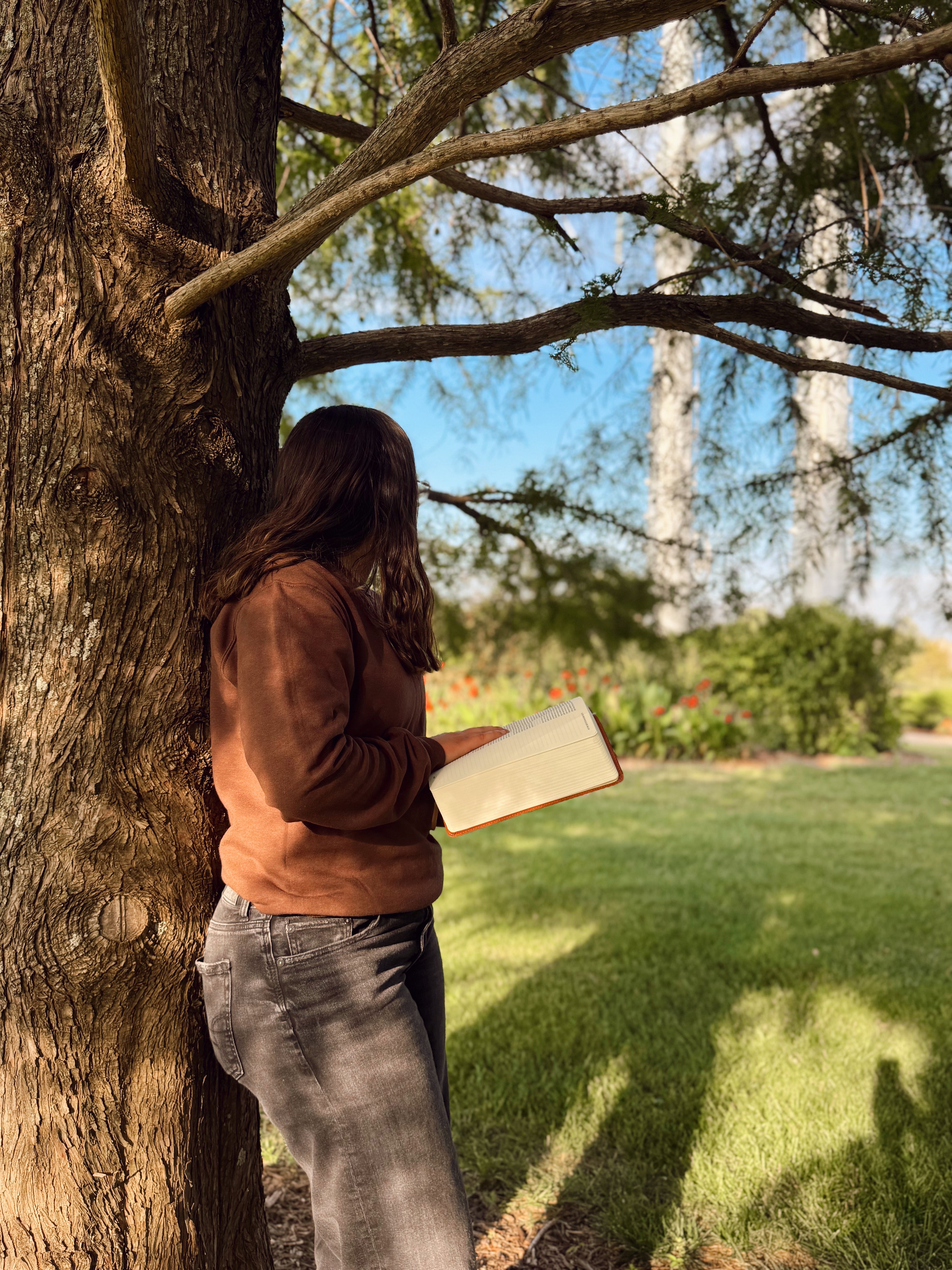 Harvest Pumpkin Sweatshirt
