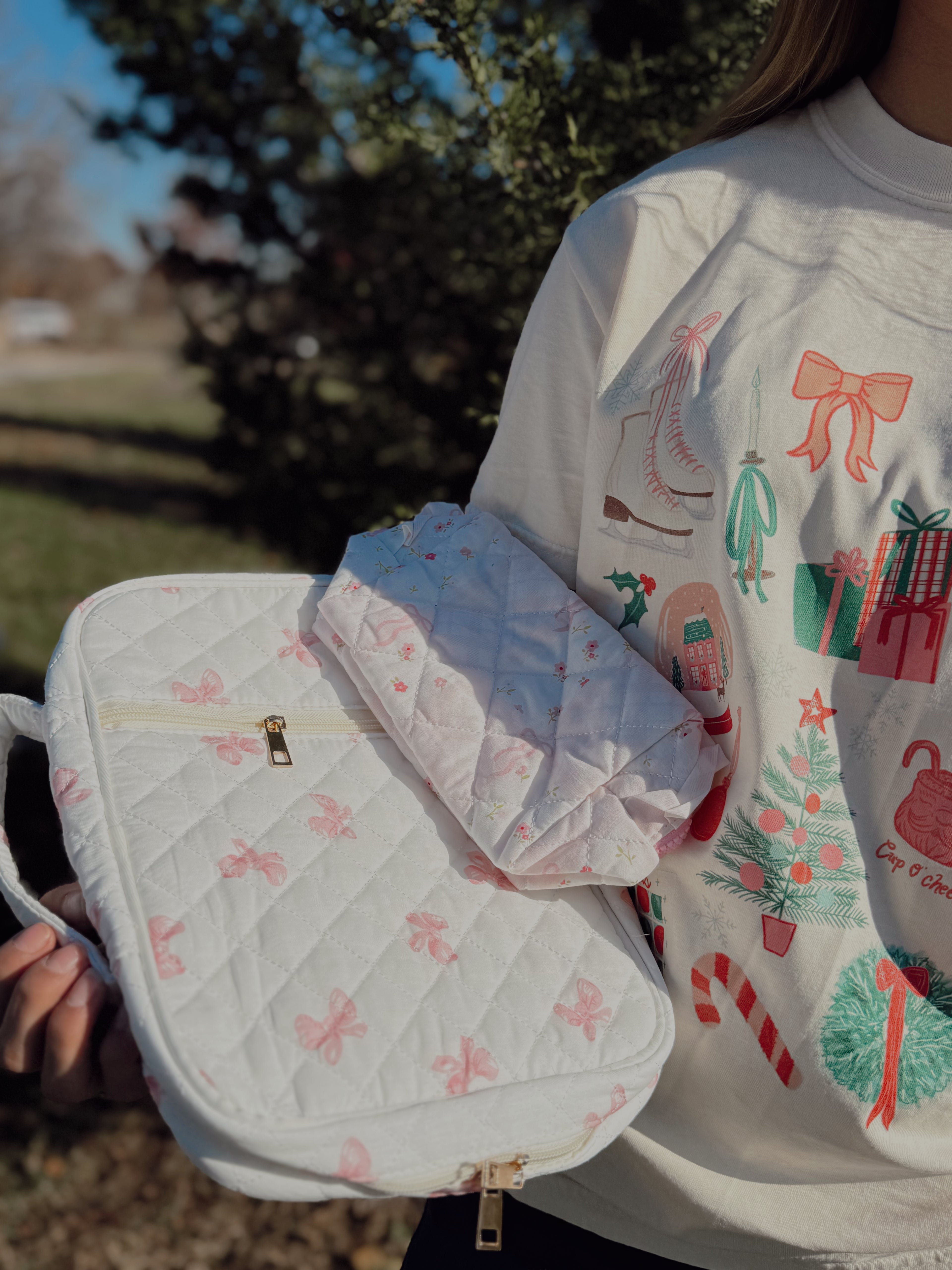 Pretty in Grace Bible Case