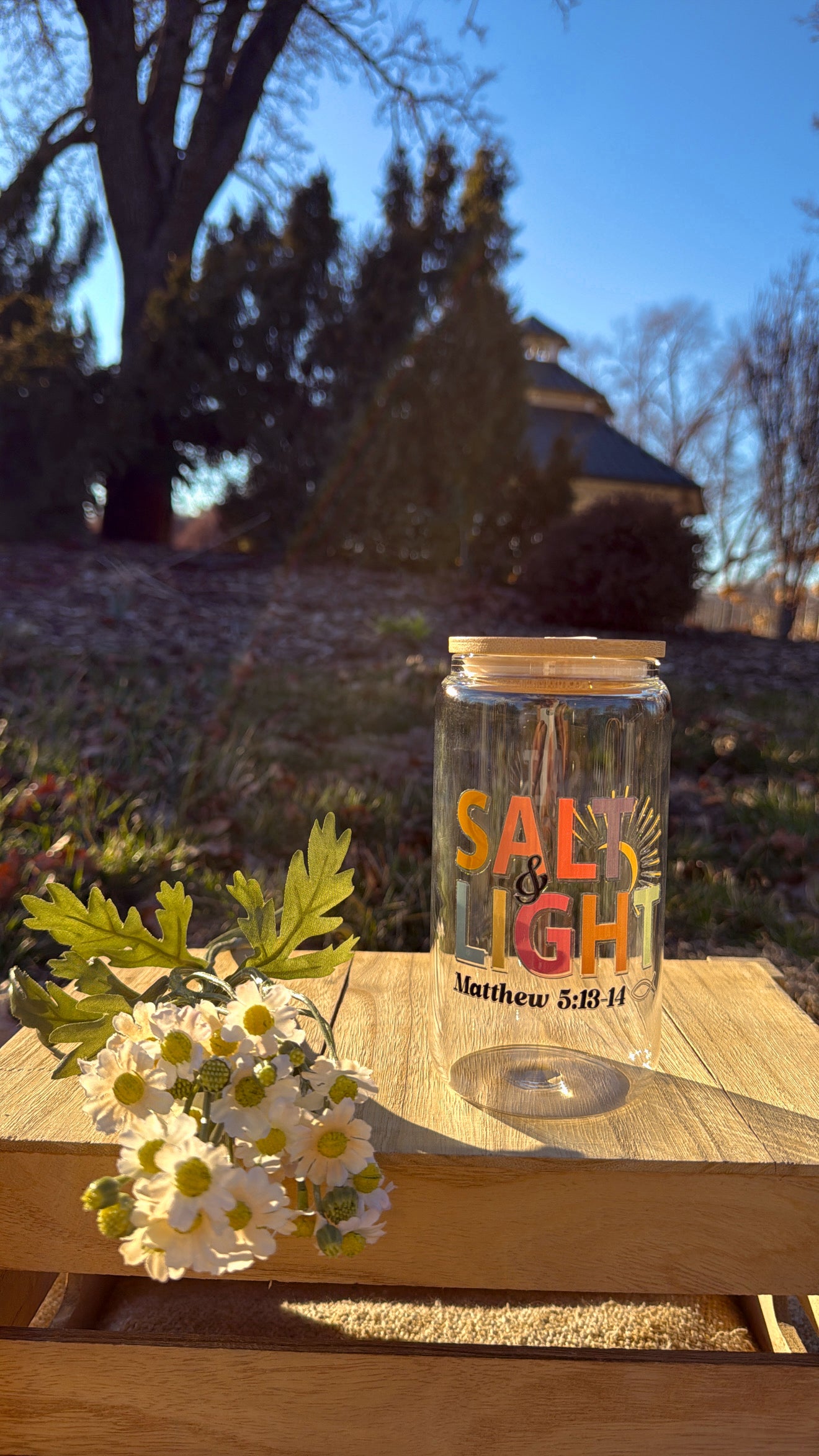 Salt & Light